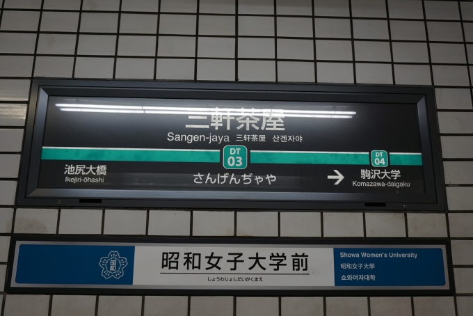 鉄道乗車記録の写真:駅名看板(3)        「駅看板」
