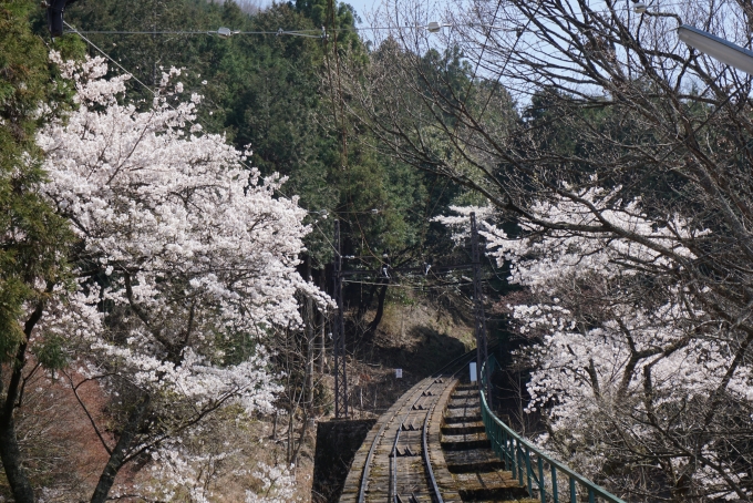鉄道乗車記録の写真:車窓・風景(5)        「京福電気鉄道 1から見た風景」