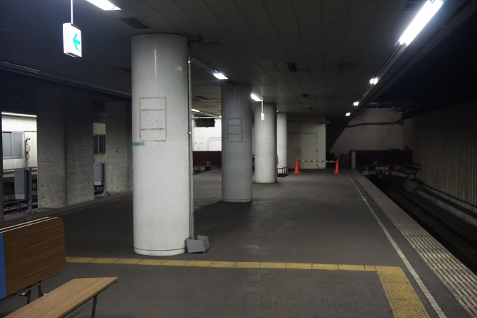 鉄道乗車記録の写真:駅舎・駅施設、様子(28)        「旧成田空港駅ホーム」