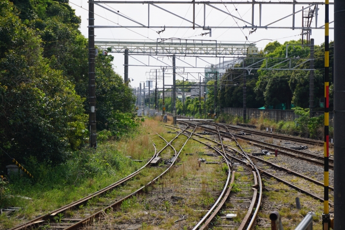 鉄道乗車記録の写真:車窓・風景(3)        「浅野駅３番線ホームから撮影」