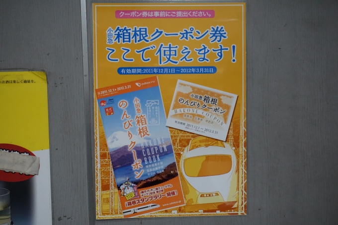 鉄道乗車記録の写真:旅の思い出(26)        「小田急電鉄 20001
箱根クーポン券」