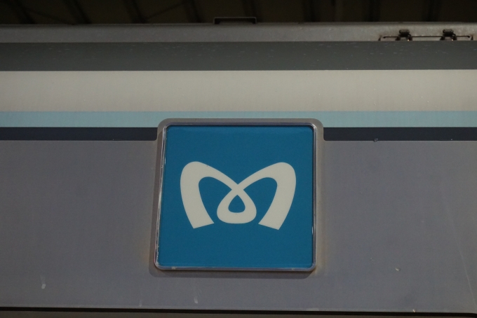 鉄道乗車記録の写真:乗車した列車(外観)(4)        「東京メトロ」