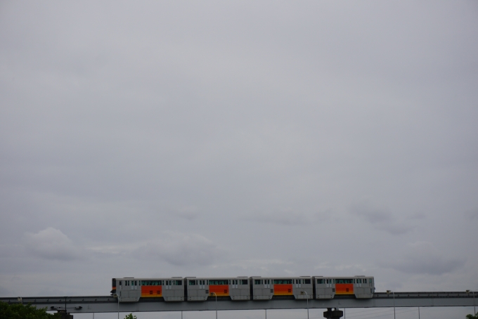 鉄道乗車記録の写真:列車・車両の様子(未乗車)(8)        「残堀川の橋から撮影」