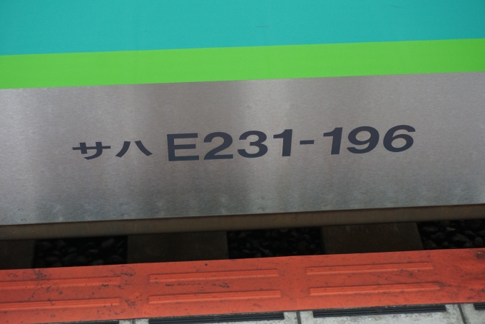 鉄道乗車記録の写真:車両銘板(2)        「JR東日本 サハE231-196」