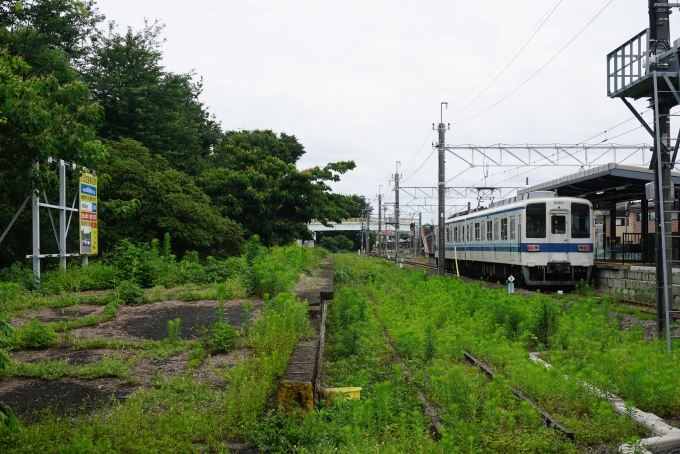 鉄道乗車記録の写真:駅舎・駅施設、様子(11)        「西小泉駅構内」