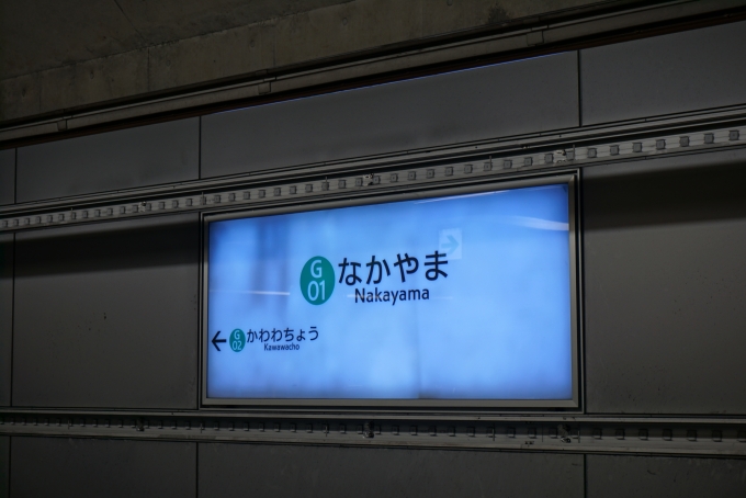 鉄道乗車記録の写真:駅名看板(2)        「グリーンライン中山駅」