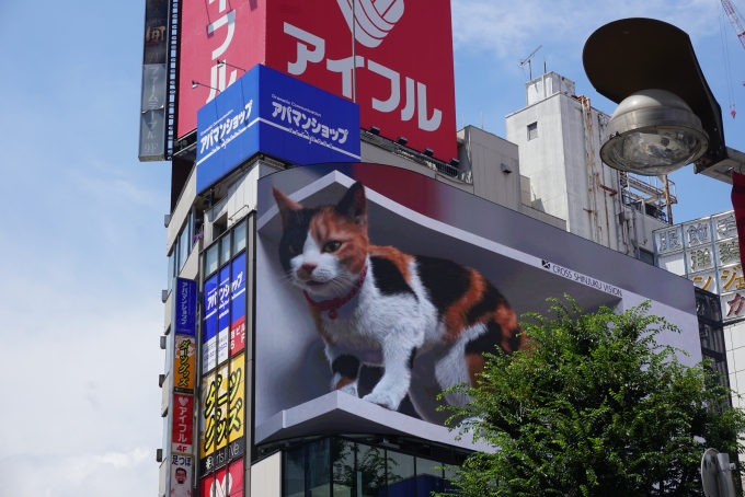 鉄道乗車記録の写真:旅の思い出(5)        「クロス新宿ビジョン
3D映像の猫1」