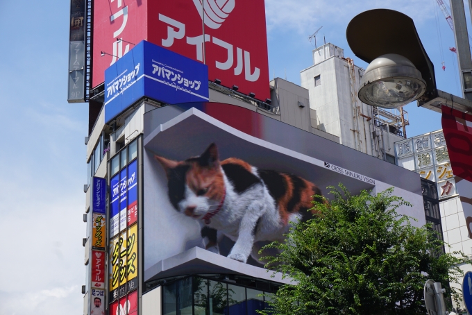 鉄道乗車記録の写真:旅の思い出(6)        「クロス新宿ビジョン
3D映像の猫2」