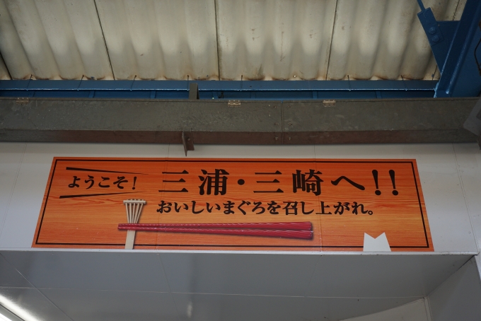 鉄道乗車記録の写真:駅舎・駅施設、様子(12)        「三浦、三崎へ」
