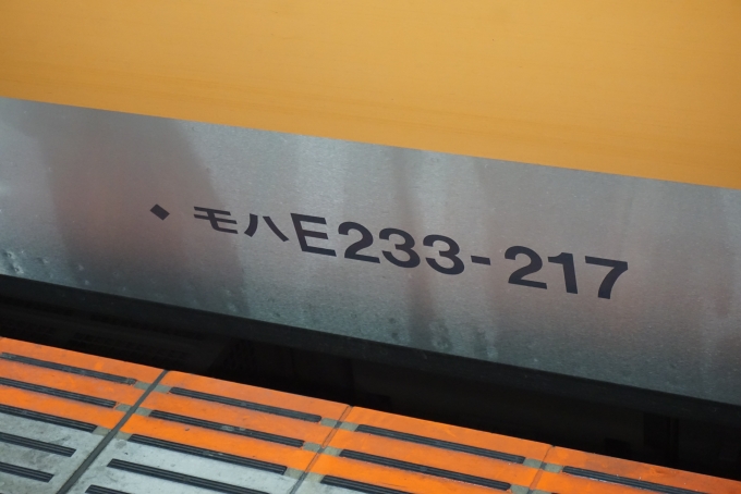鉄道乗車記録の写真:車両銘板(1)        「JR東日本 モハE233-217」