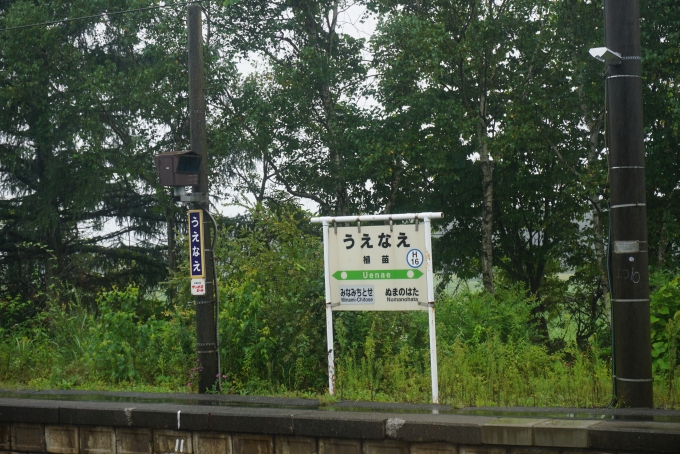 鉄道乗車記録の写真:駅名看板(7)        「植苗駅」