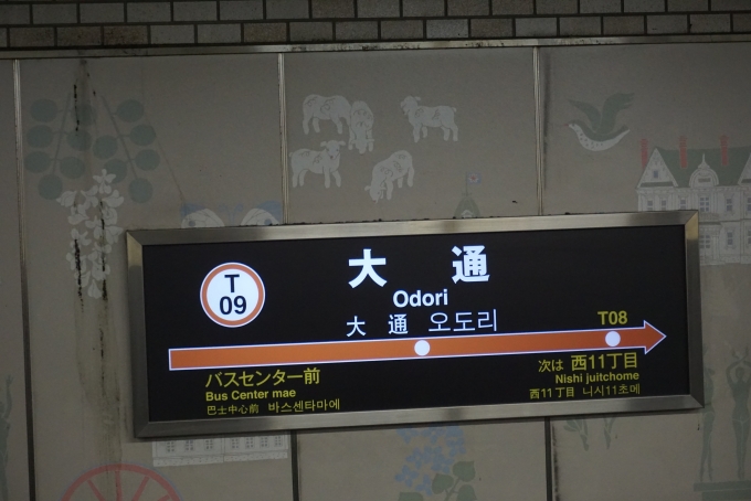 鉄道乗車記録の写真:駅名看板(1)        「東西線大通駅」