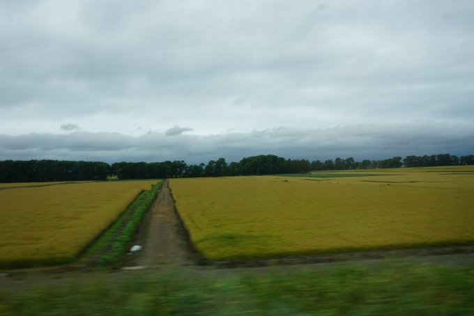 鉄道乗車記録の写真:車窓・風景(3)        「光珠内駅から美唄駅の間の風景」