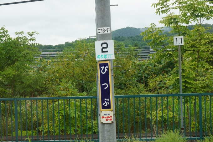 鉄道乗車記録の写真:駅名看板(10)        「比布駅その3」