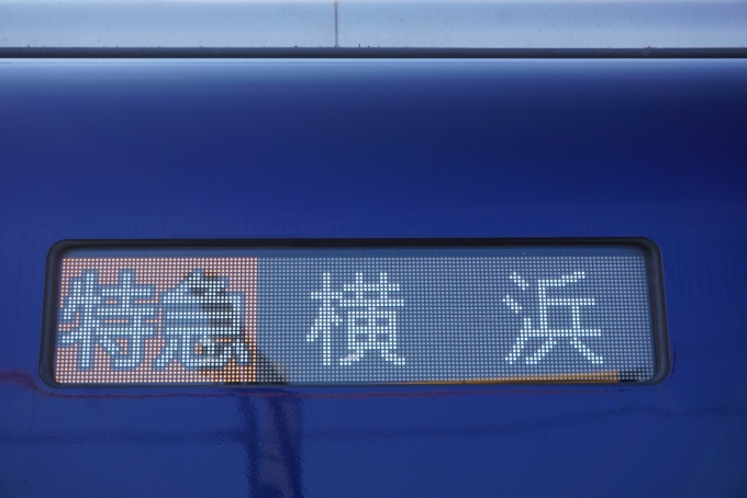鉄道乗車記録の写真:方向幕・サボ(3)        「特急横浜」