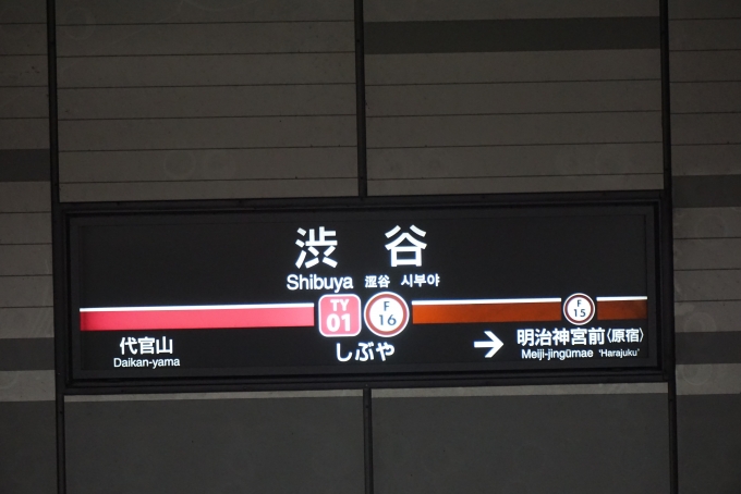 鉄道乗車記録の写真:駅名看板(4)        「東横線渋谷駅」