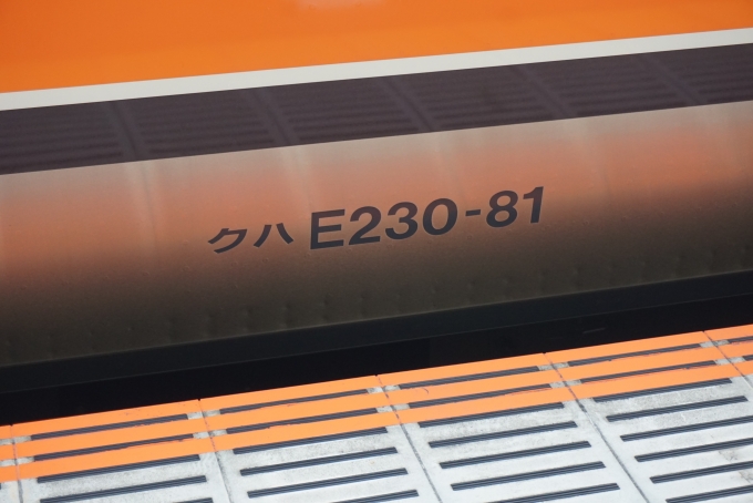 鉄道乗車記録の写真:車両銘板(1)        「JR東日本 クハE230-81」