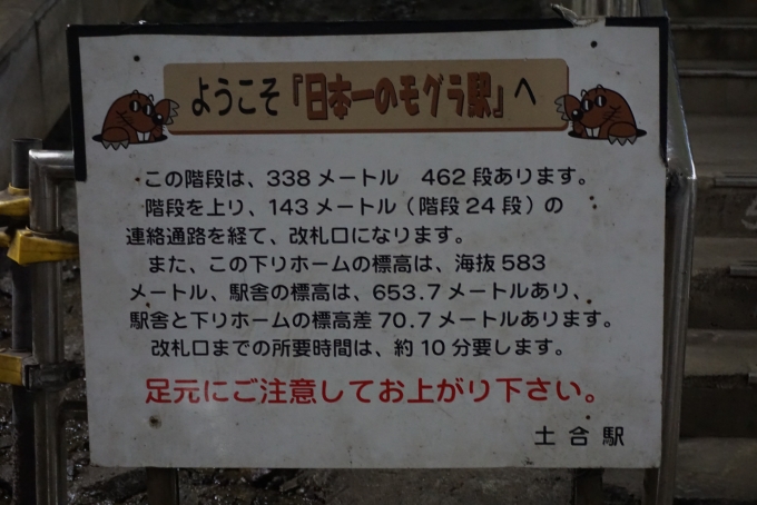鉄道乗車記録の写真:駅舎・駅施設、様子(12)        「日本一のモグラ駅462階段詳細」