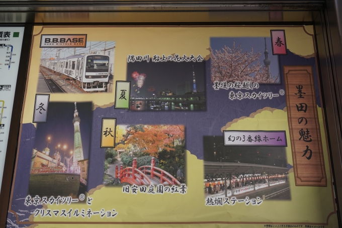 鉄道乗車記録の写真:駅舎・駅施設、様子(9)        「墨田の魅力」