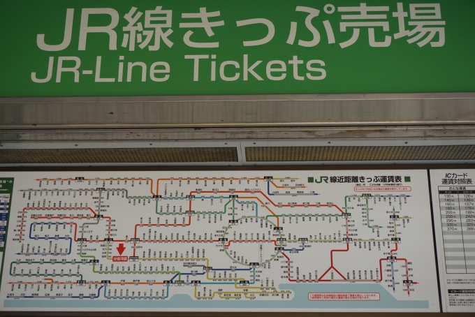 鉄道乗車記録の写真:駅舎・駅施設、様子(7)        「JR線分倍河原駅きっぷ運賃」