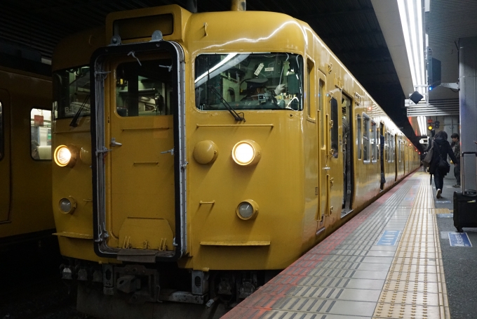 鉄道乗車記録の写真:乗車した列車(外観)(1)          「降車後に撮影」