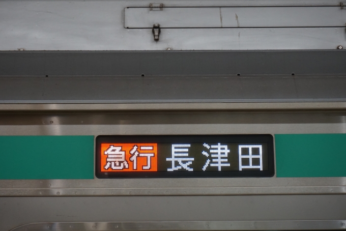 鉄道乗車記録の写真:方向幕・サボ(3)        「急行長津田」
