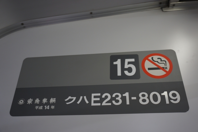 鉄道乗車記録の写真:車両銘板(3)        「JR東日本 クハE231-8019」