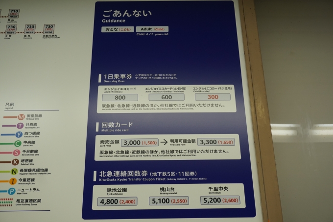 鉄道乗車記録の写真:駅舎・駅施設、様子(10)        「八尾南駅ごあんない」