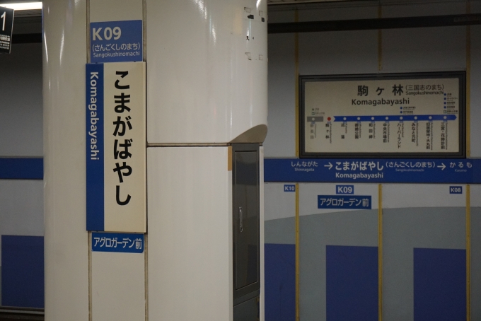 鉄道乗車記録の写真:駅名看板(4)        「駒ヶ林駅」