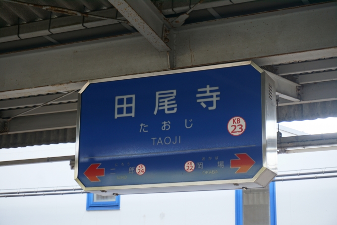 鉄道乗車記録の写真:駅名看板(6)        「田尾寺駅」
