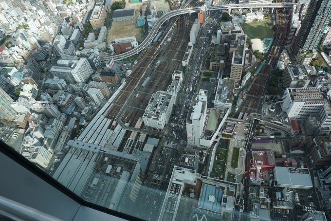 鉄道乗車記録の写真:旅の思い出(13)        「ハルカス300から見た風景
左はJR天王寺駅、右は大阪阿倍野橋駅」