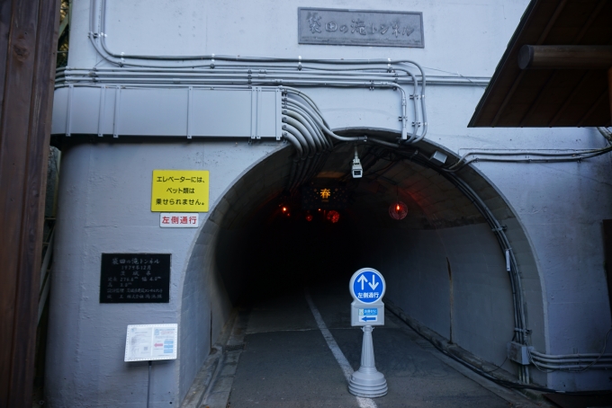 鉄道乗車記録の写真:旅の思い出(13)        「袋田の滝トンネル入口」