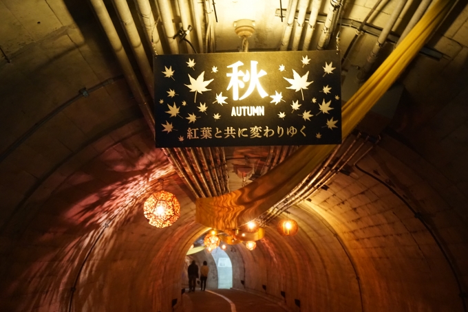 鉄道乗車記録の写真:旅の思い出(18)        「袋田の滝トンネルの秋」