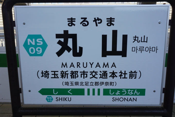 鉄道乗車記録の写真:駅名看板(4)        「丸山駅」