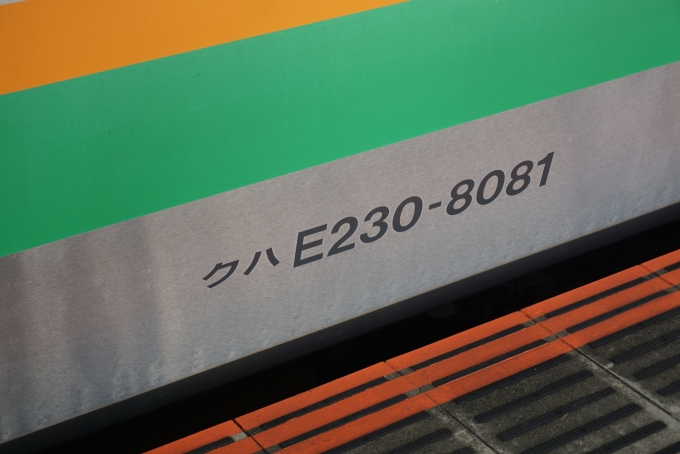 鉄道乗車記録の写真:車両銘板(3)        「JR東日本 クハE230-8081」