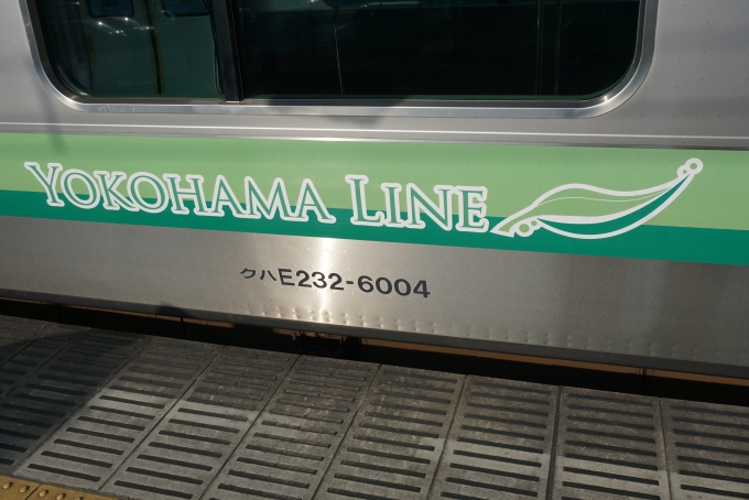鉄道乗車記録の写真:車両銘板(5)        「JR東日本 クハE232-6004横浜線」