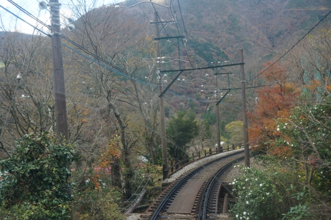 鉄道乗車記録の写真:車窓・風景(7)        「宮ノ下-小涌谷間の風景」