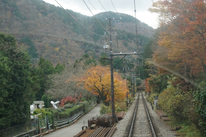 鉄道乗車記録の写真:車窓・風景(9)        「小涌谷-彫刻の森間の風景」