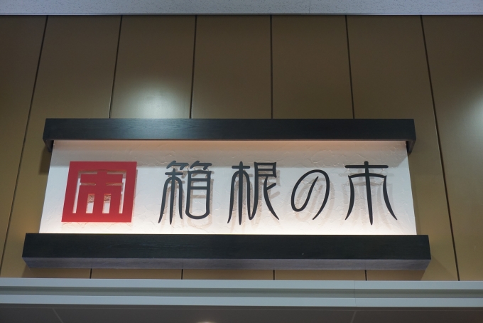 鉄道乗車記録の写真:旅の思い出(9)        「箱根の市」