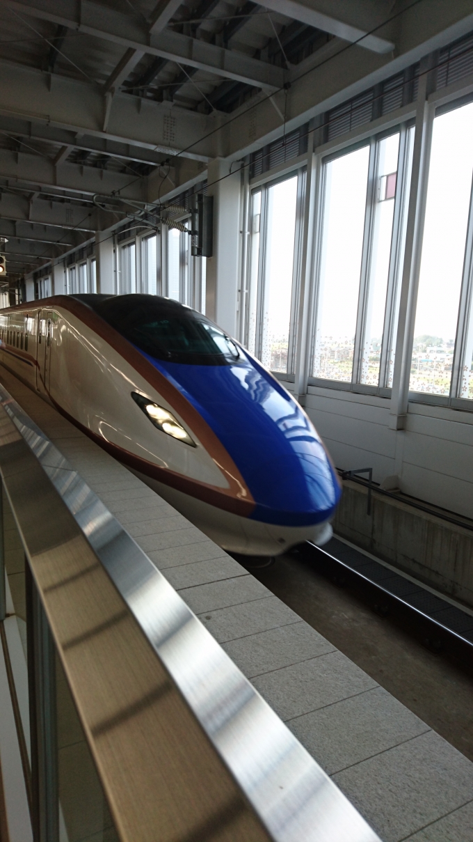 鉄道乗車記録の写真:駅舎・駅施設、様子(1)        「はくたか572号、東京行き」
