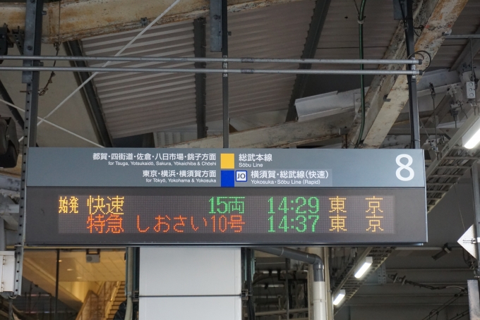 鉄道乗車記録の写真:駅舎・駅施設、様子(3)        「千葉駅8番線案内」