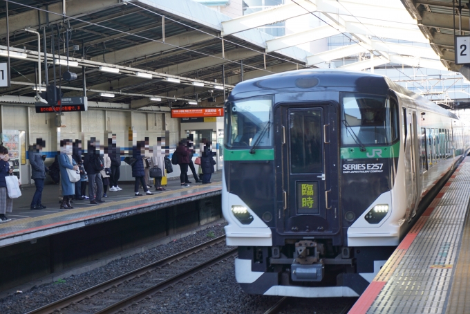鉄道乗車記録の写真:乗車した列車(外観)(2)        「JR東日本 クハE256-5509 
乗車前に撮影」