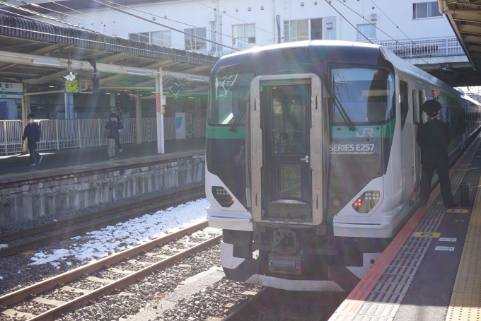 鉄道乗車記録の写真:乗車した列車(外観)(13)        「JR東日本 クハE257-5509
降車後に撮影」