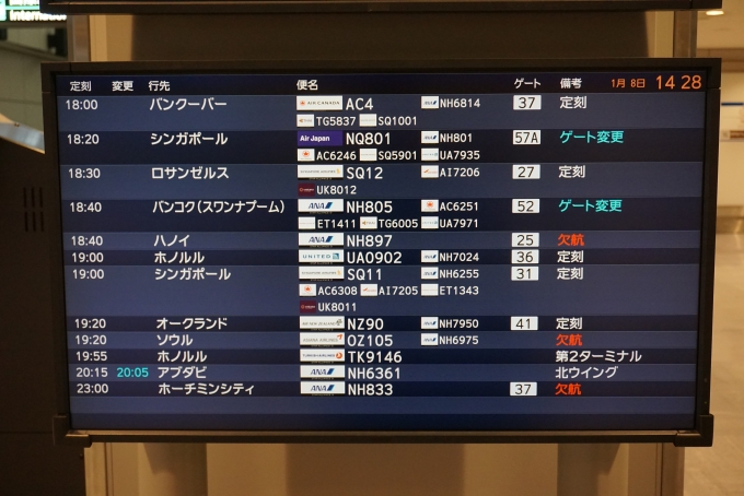 鉄道乗車記録の写真:旅の思い出(5)        「成田空港出発案内その2」