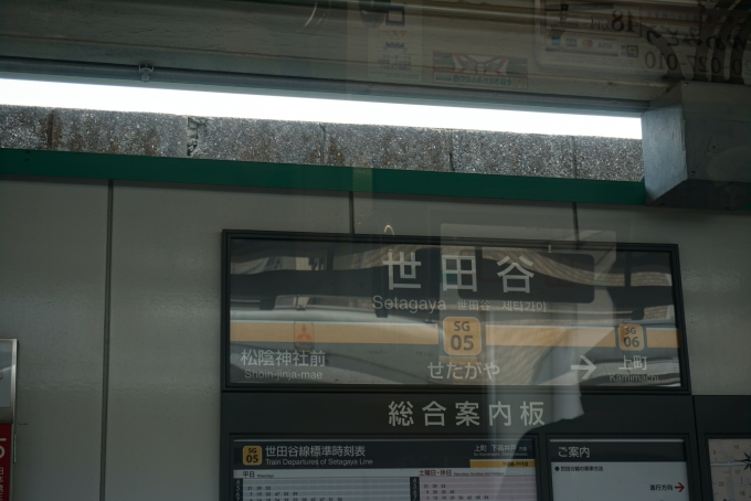 鉄道乗車記録の写真:駅名看板(4)        「駅名標」