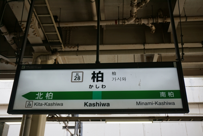 鉄道乗車記録の写真:駅名看板(5)        「常磐線柏駅」