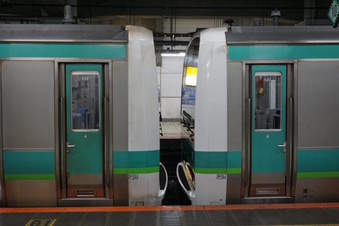 鉄道乗車記録の写真:乗車した列車(外観)(5)        「左側がJR東日本 クハE231-78
右側がJR東日本 クハE230-48」
