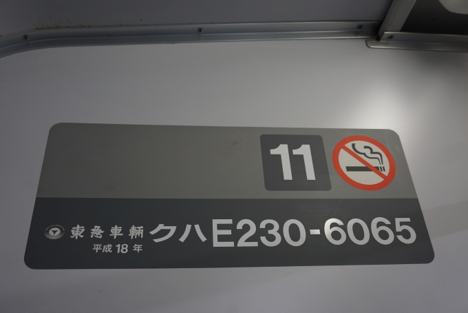 鉄道乗車記録の写真:車両銘板(1)        「JR東日本 クハE230-6065」