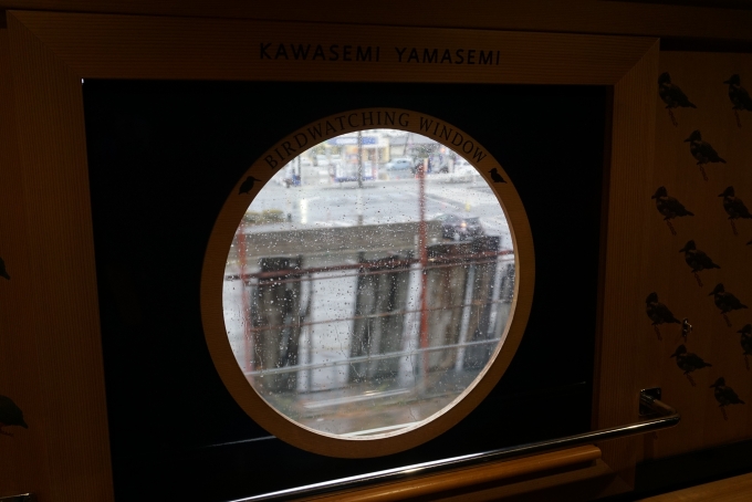 鉄道乗車記録の写真:車内設備、様子(9)     「JR九州 キハ47 8087窓」