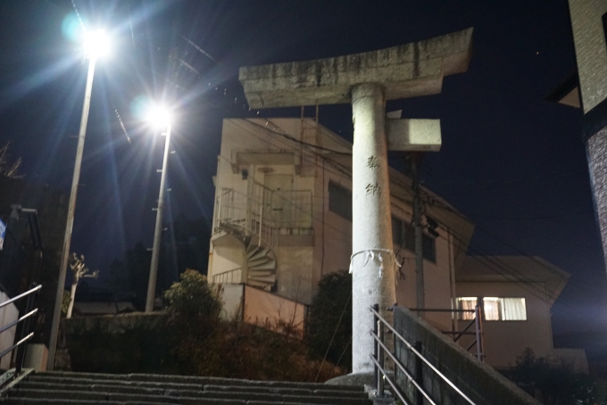 鉄道乗車記録の写真:旅の思い出(2)        「山王神社 二の鳥居(一本柱鳥居)」